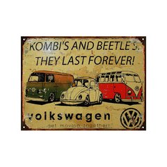 VW Combi