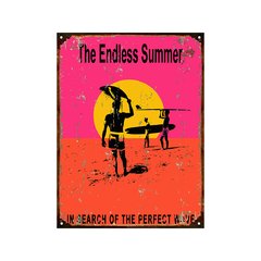 THE ENDLESS SUMMER