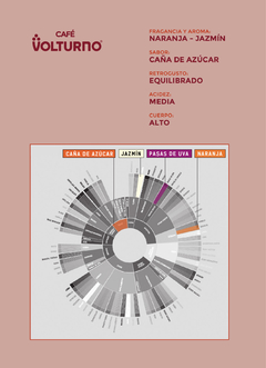 COMBO CAFÉ VOLTURNO - CAFETERA CLASICA 6 (360 cm3) + CUARTO DE CAFÉ en internet