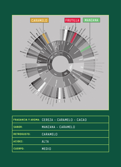 CAFÉ LA PALMERA - COLOMBIA - RECARGA CAFÉ 250GR - BOLSA COMPOSTABLE - Fuego - Tostadores de Cafe