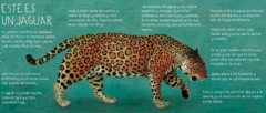 Jaguar, "Corazón de la montaña" - comprar en línea