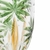 Conjunto 6 Taças Cristal Palm Tree Handpaint 450ml