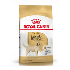 ROYAL CANIN LABRADOR ADULTO X 12 KG