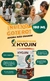 Kyojin Probiotico x 2 unidades 180ml
