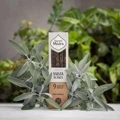 Sahumerios Salvia Blanca - Sagrada Madre - comprar online