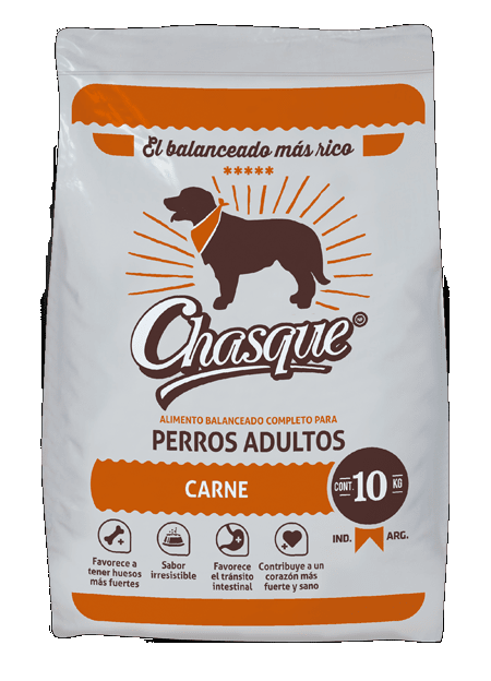 CHASQUE ADULTO CARNE