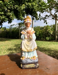 Nossa Senhora da Salette - comprar online