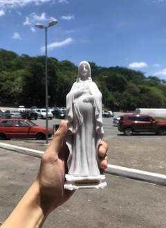 Nossa Senhora da Doce Espera - mármore
