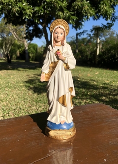 Sagrado Coração de Maria