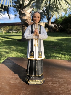 João Batista Maria Vianney