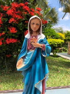 Imaculado Coração de Maria na internet