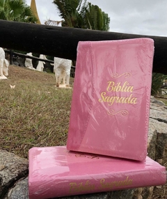 Bíblia Sagrada da Mulher Devota - Luxo nova capa - comprar online