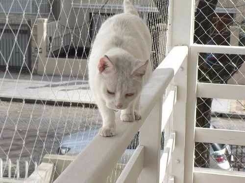 1m X 3m Malla Protectora Balcon Para Mascotas Perro Gato