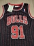 Camiseta NBA Chicago Bulls #91 Rodman SKU W402 - CHICAGO FROGS