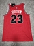 Camiseta NBA Chicago Bulls #23 Jordan SKU W902 - CHICAGO FROGS