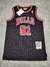 Camiseta NBA Chicago Bulls #91 Rodman SKU W402