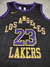 Camiseta NBA Los Ángeles Lakers #23 SKU W310 + en internet