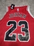 Imagen de Conjunto NBA Chicago Bulls Jordan #23 SKU B34