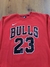 Buzo NBA Chicago Bulls #23 SKU H549 - comprar online