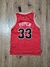 Camiseta NBA Chicago Bulls Pippen #33 SKU W01 - CHICAGO FROGS