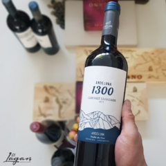 Andeluna Cabernet Sauvignon 1300 750cc