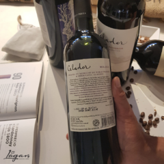 CALLEJÓN DE LAS BRUJAS MALBEC - BODEGA CIELO Y TIERRA - comprar online