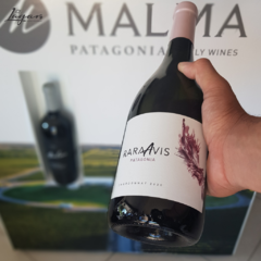 Rara Avis Chardonnay Bodega Malma 750cc