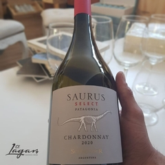 Saurus Select Chardonnay 750cc