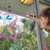 Crayones Window Para Vidrio X5 Unidades - Crayola - tienda online