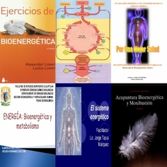 Pack de 6 Libros sobre Bioenergética en formato DIGITAL