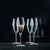 Copa De Champagne Nachtmann Vinova X4 Unid. 98075 en internet