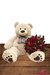 MEU ETERNO AMOR Urso e Flores