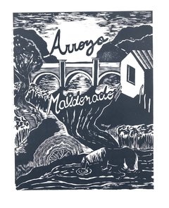Arroyo Maldonado / serie arroyos entubado de Buenos Aires