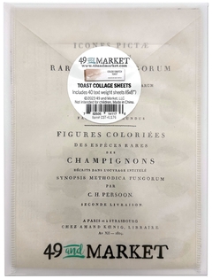 49 and Market - Coleção Color Swatch Toast - Papéis para Scrapbook 15x20 cm (6x8 polegadas) - comprar online