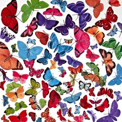 49 and Market - Coleção Spectrum Gardenia - Die cuts Butterfly na internet