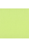 Bazzill Cardstock - Mono - Limeade 309014