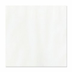 Bazzill - Vellum - White 40lb 300063