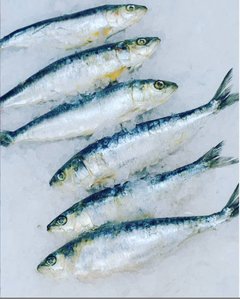 Sardinas Españolas