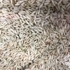 ARROZ INTEGRAL MOTTI - 100G