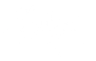 Ska Skate Rock