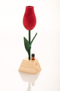 Tulipa e Botão Velvet na internet