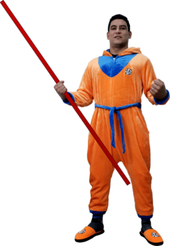 Macacão kigurumi Goku Simbolo Dragon Ball na internet