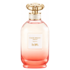 TST - Dreams Sunset Coach – Eau de Parfum - 90ml