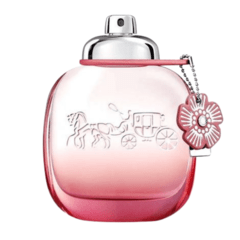 Floral Blush Coach - Perfume Feminino Eau de Parfum - comprar online