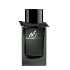 MR BURBERRY MASCULINO EAU DE PARFUM - comprar online