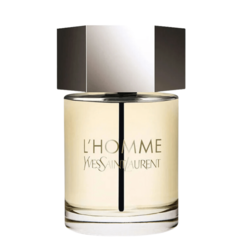 TST - L Homme Yves Saint Laurent EDT 100ML - comprar online