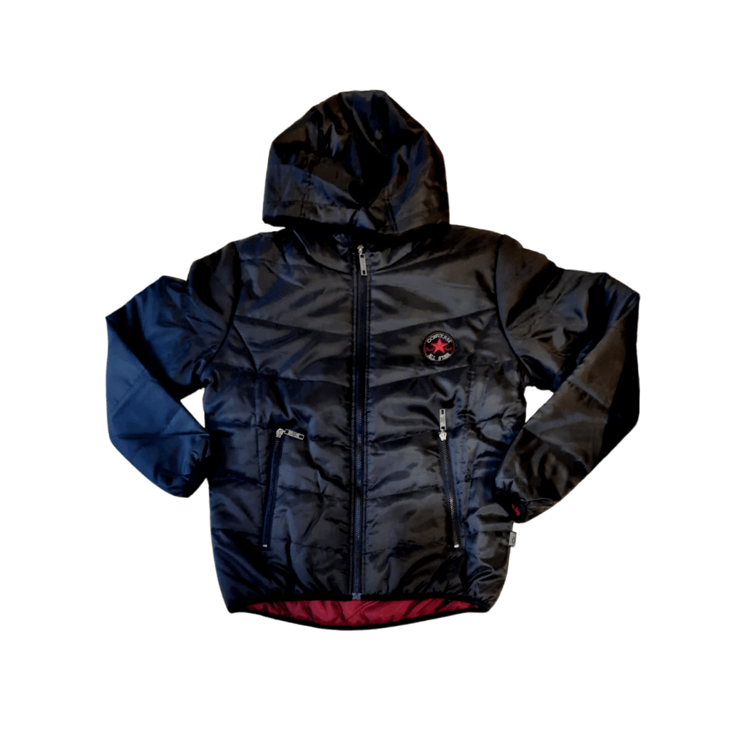 Campera Converse Maximus Hoddie Masc