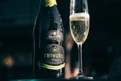 Espumante Tributo Prosecco - comprar online