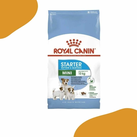 Royal Canin Starter Mini
