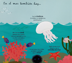 Los animales marinos al dedillo - Libros del Oso